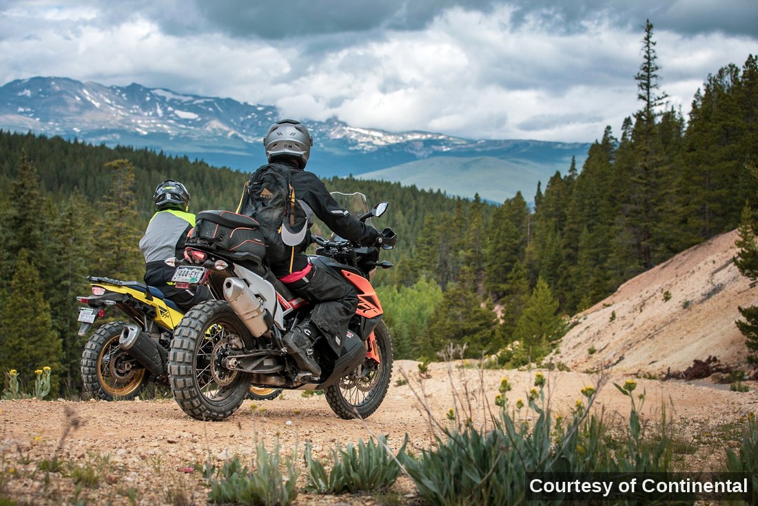 Two riders looking out over a forested valley and snowy peaks